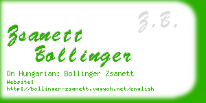 zsanett bollinger business card